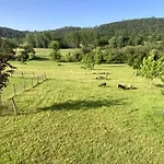 Restauré Avec Piscine Partagée, Climatisation, Vallée De La Dordogne - Fr-1-616-258