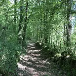 Сasa de vacaciones Restauré Avec Piscine Partagée, Climatisation, Vallée De La Dordogne - Fr-1-616-258