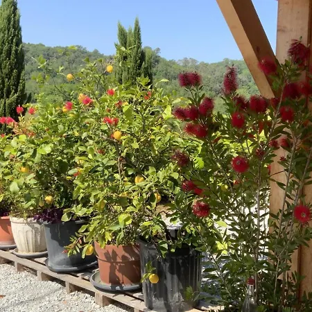 Сasa de vacaciones Restauré Avec Piscine Partagée, Climatisation, Vallée De La Dordogne - Fr-1-616-258 Sainte-Mondane